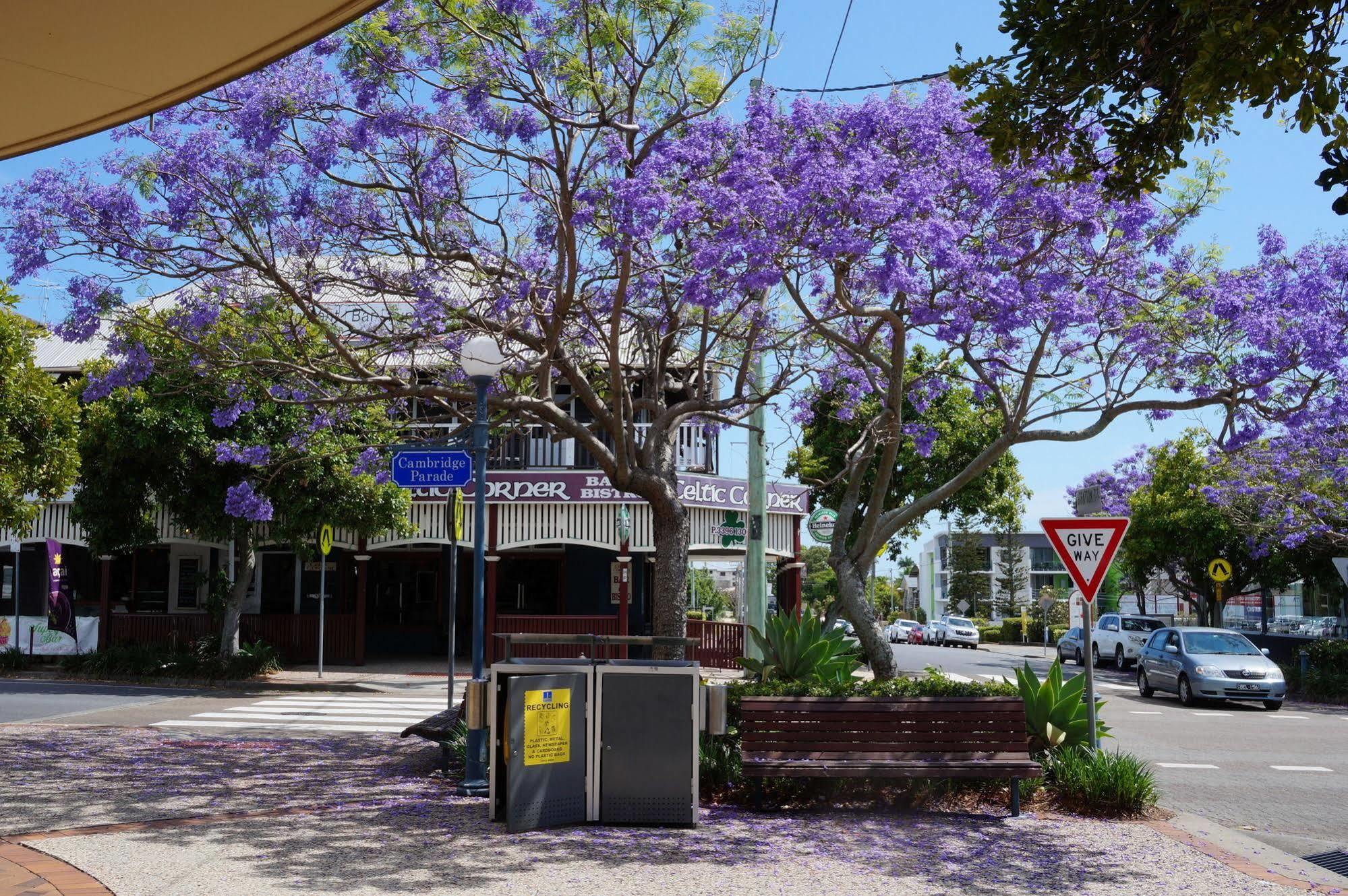 Manly Hotel Brisbane Dış mekan fotoğraf